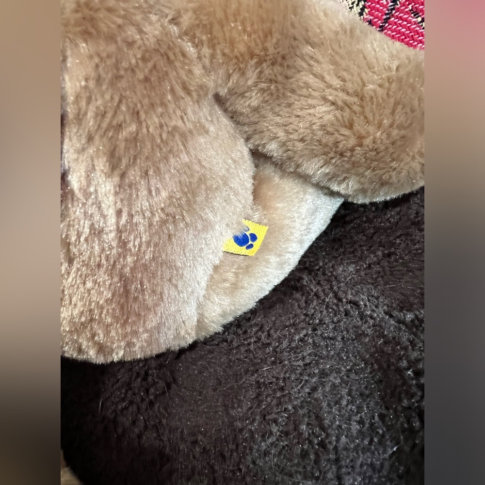 Build a bear puppy 🐶 - Picture 3 of 4